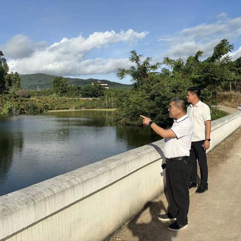 海棠区委常委、区级河湖长黄泽纬同志巡查槟榔山塘