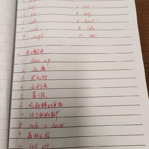 （六下）第三单元重点知识点及主观题训练题