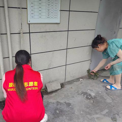 温泉街道金汤社区：“护河爱水 清洁家园”鼓楼在行动——爱国卫生志愿服务活动