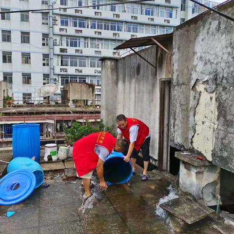 【温泉街道金汤社区】“护河爱水 清洁家园”鼓楼在行动——爱国卫生环境整治志愿服务活动