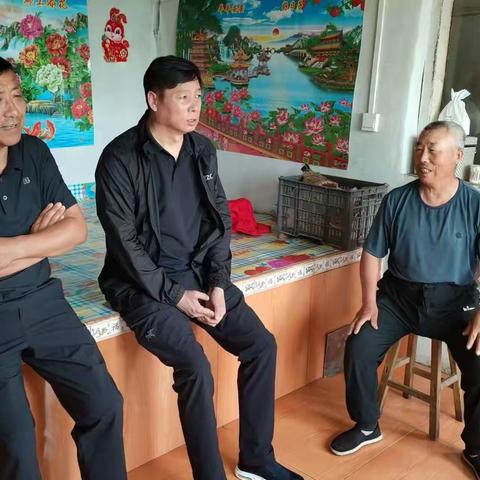 市委常委、副市长赵丹同志深入海兴镇开展全面推进乡村振兴“四个一”活动