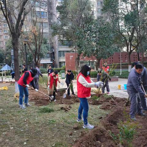 辖区绿化修复提升 居民美好生活升级——长延堡街道紫郡长安社区与国源物业合力推进绿化修复提升，共建美好家园