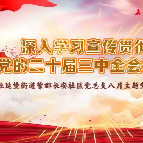 深入学习宣传贯彻党的二十届三中全会精神，共筑社区美好未来——长延堡街道紫郡长安社区党总支开展8月份党日活动