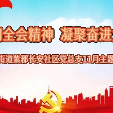 贯彻全会精神，凝聚奋进力量——长延堡街道紫郡长安社区党总支开展11月主题党日活动