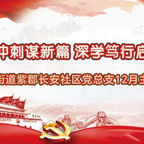 收官冲刺谋新篇 深学笃行启新程——长延堡街道紫郡长安社区党总支开展12月主题党日活动