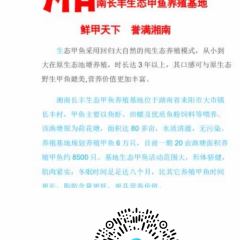 湘南生态甲鱼下半年有甲鱼出售啦！