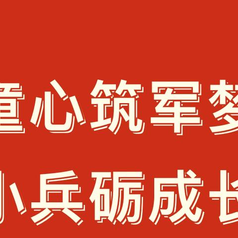 【树童教育】“童心筑军梦，小兵砺成长”—树童嘉庆苑幼儿园国防教育“小兵训练营”结营活动