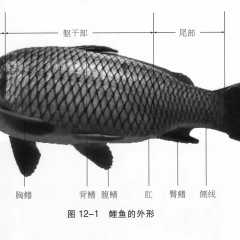 动物学第五组美篇展示