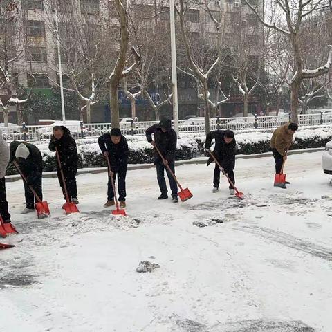 城南街道办事处持续开展低温雨雪冰冻灾害排查清理