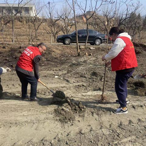 县自然资源和规划局开展春季义务植树活动