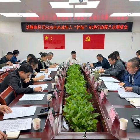 龙塘镇召开2025年未成年“护苗”专项行动第八次调度会