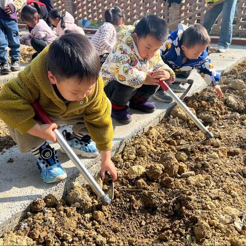 小小种植区，快乐伴成长——革勒中心幼儿园种植区土壤准备篇