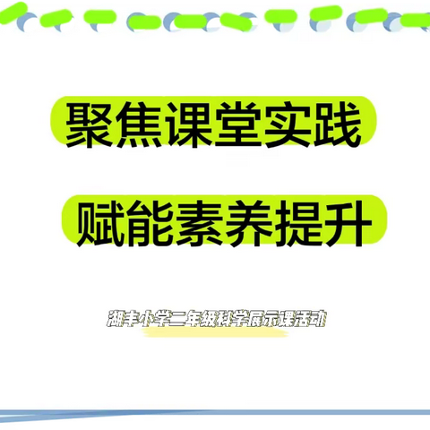 聚焦课堂实践  赋能素养提升——湖丰小学二年级科学展示课活动