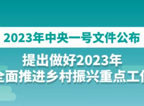 全面推进乡村振兴 加快建设农业强国