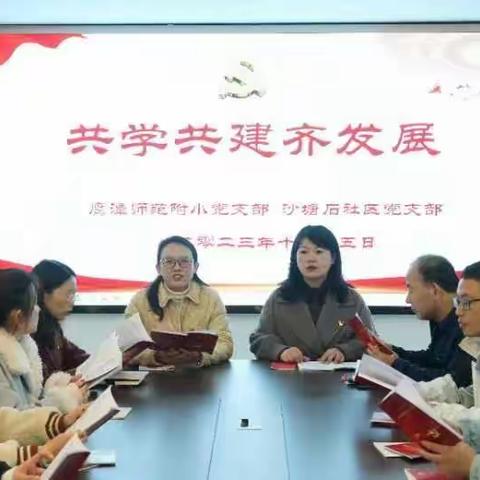 共学共建齐发展——鹰潭市师范附属小学党支部联合沙塘石社区共同促进党建发展