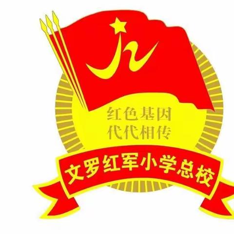 陵水黎族自治县文罗中心小学端午节假期安全再部署会