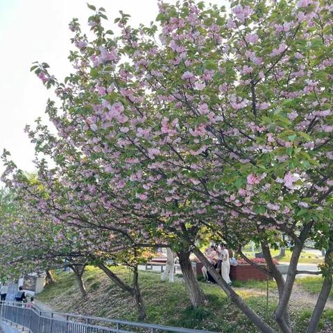 春季教研正当时——乾明路小学第九届“青蓝杯”教学比武大赛纪实（英综组）