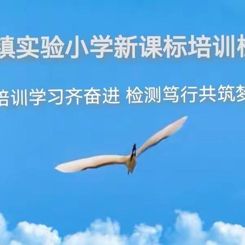 培训学习齐奋进  检测笃行共筑梦