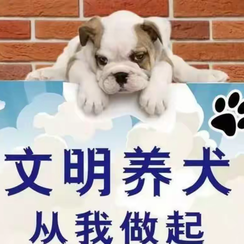 文明养犬 从我做起|延光社区党委积极开展文明养犬宣传工作