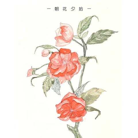 《朝花夕拾》手抄报展品