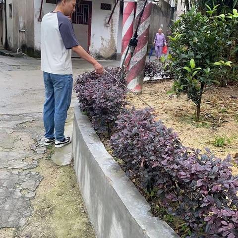 海门镇持续推进人居环境整治