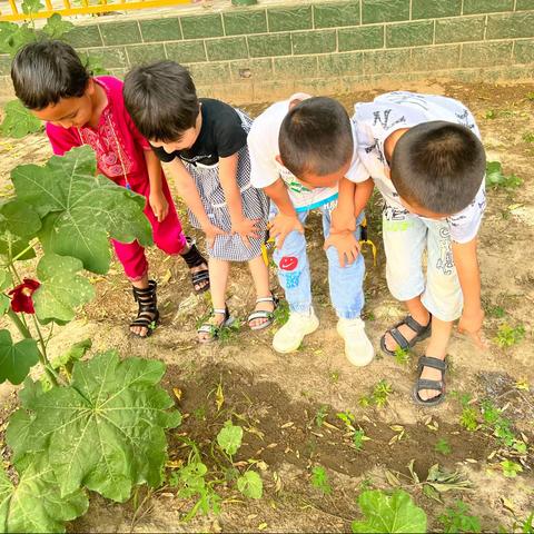 皮山县皖疆幼儿园中三班课程活动“有趣的水”