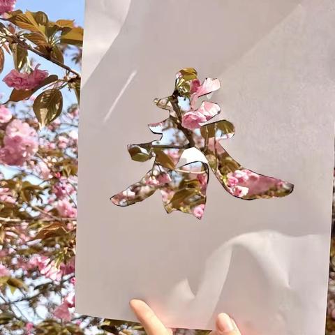 寻春校园间，童梦绽芳菲——定兴县第四实验小学三年级校园寻春活动