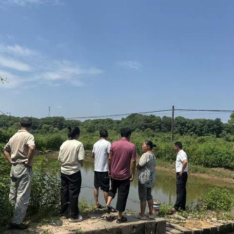 【好商量】关于做好严家组生活水塘维修项目协商议事会