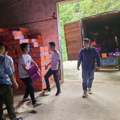 重拳出击，严管重罚--金山镇严厉打击烟花爆竹贴牌冒牌行为