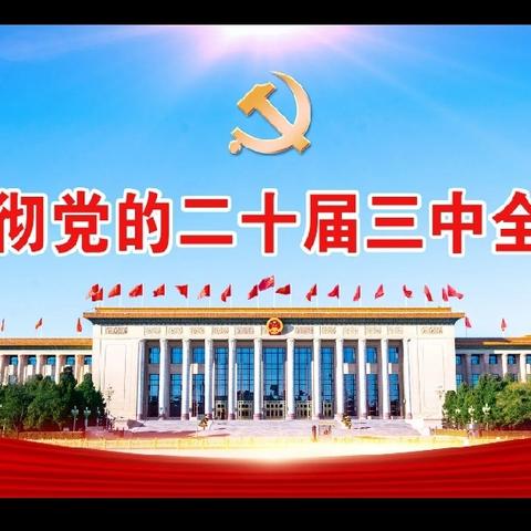 农工党宣化区委学习二十届三中全会精神