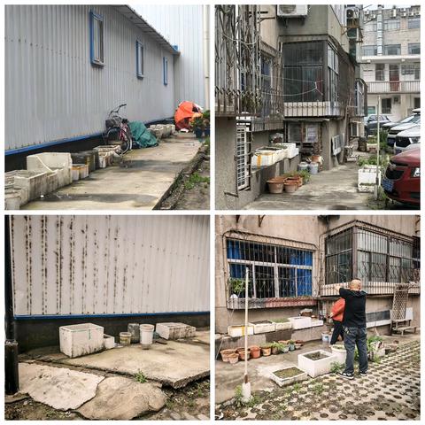 百日攻坚进行时 | 徐家湾社区：整治 "空中菜园" 持续擦亮宜居底色