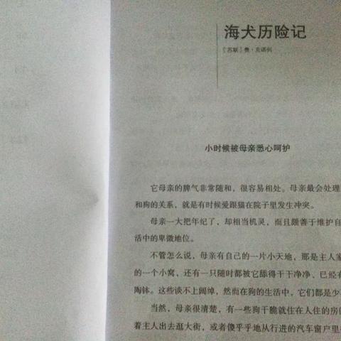 东盛小学五年八班丁启恩家庭读书会第一百九十六期