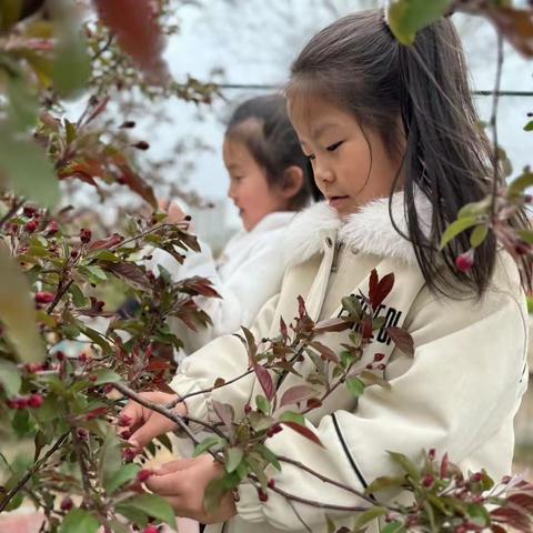 【全环境立德树人】信城街道中心幼儿园大一班四月第一周活动纪实