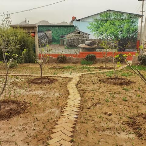 【鹤壁市淇滨区大河涧乡】人居环境提升系列之毛连洞村“山楂花开”