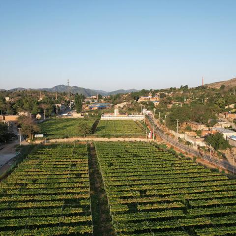 鹤壁市淇滨区大河涧乡：乡村绿化添“姿色”人居环境换“新颜”