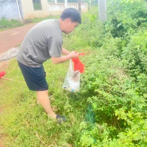 大林村持续开展环境卫生整治暨翻盆倒罐清除积水行动