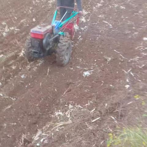 抢抓农时助秋播