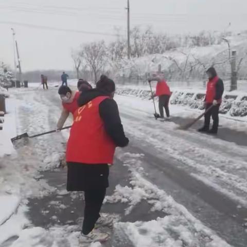 【幸福历城  群众满意】 以雪为令！董家街道三官庙村积极开展清雪除冰行动