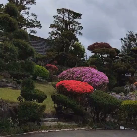 我们在日本看到了小巧玲珑的房屋、干净美丽的环境和风景