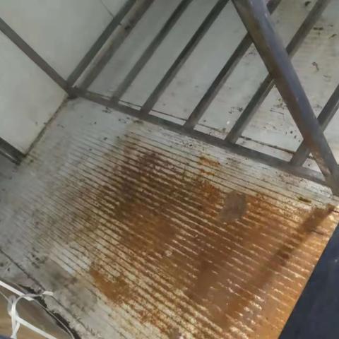 万达鸭房鸭房大扫除