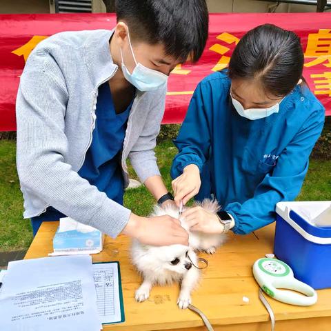 【微服务·邸万家】龙邸社区开展“爱心无限 ‘宠’我做起”便民服务活动
