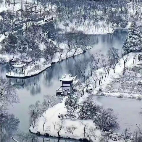 杨槐枝上层层雪，院内锹声阵次来——石佛镇小学陈集校区扫雪纪实