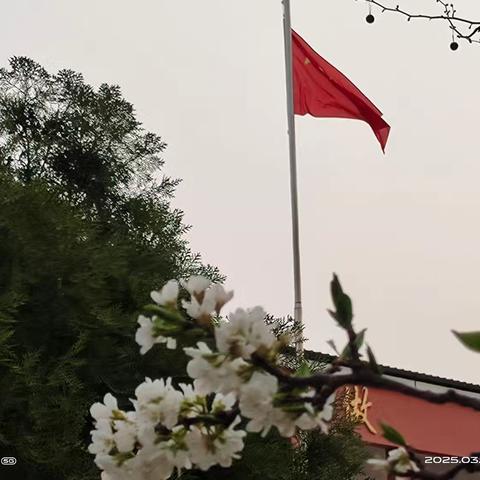 文留镇酸庙小学，我们的五彩天地——小学生活侧记