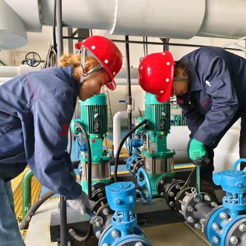 强基固本筑防线 冬病夏治保温暖