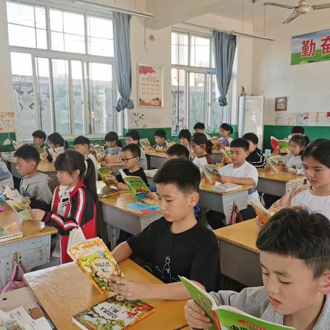 韩了墙小学“双减下的《快乐阅读、伴我成长》”三年级读书活动美篇