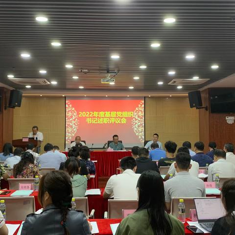 海南省社会组织综合党委召开2022年度基层党组织书记述职评议会