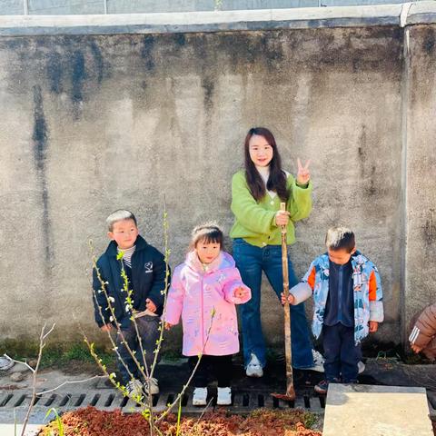 遇见黄瓜——左安镇中心幼儿园黄瓜自然教育课程