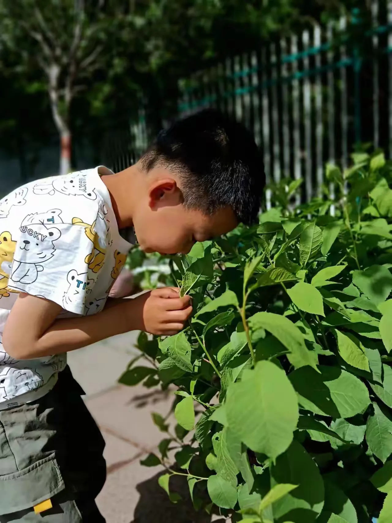 简篇-【班级活动】《风》——大班主题报道