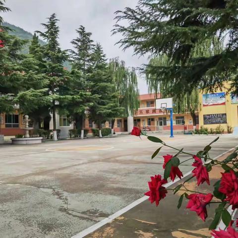 金秋九月 扬帆起航————贺进镇翟家庄中心小学开学纪实