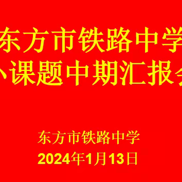 齐心协力，共创学术辉煌—东方市铁路中学小课题中期汇报